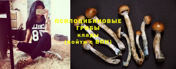 ALPHA PVP Козельск