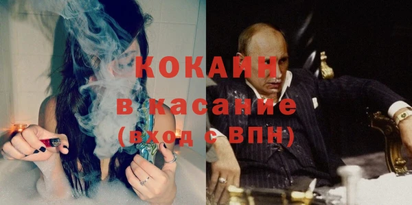 трава Кодинск