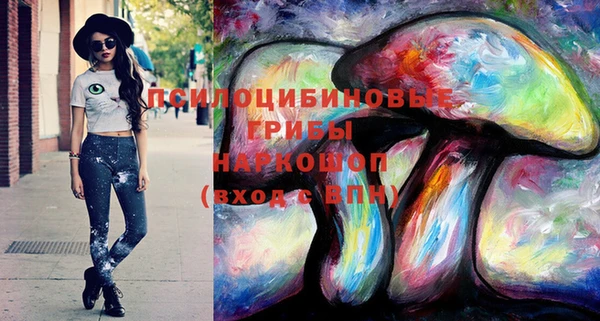 трава Кодинск