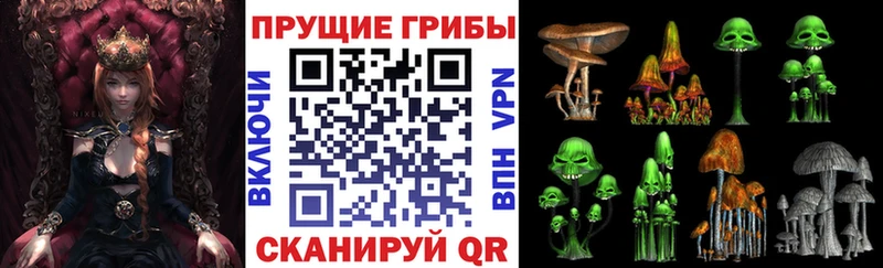 Купить где  Подпорожье  Галлюциногенные грибы Magic Shrooms 